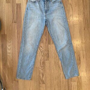 Madewell Perfect Vintage Jean